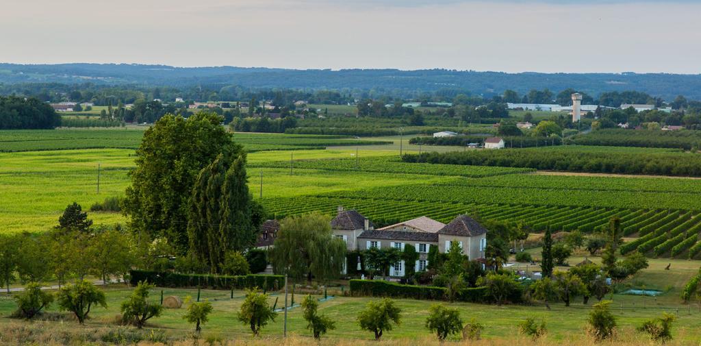 Domaine De La Queyssie Bed & Breakfast Saussignac Ngoại thất bức ảnh